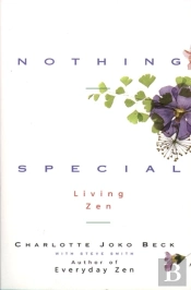 Nothing Special