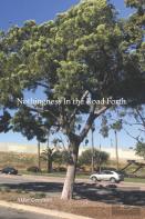 Nothingness In The Road Forth