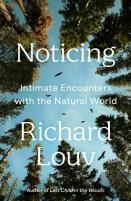 Noticing