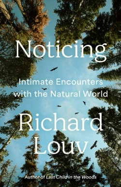 Bertrand.pt - Noticing