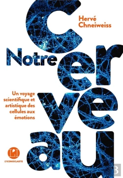 Bertrand.pt - Notre Cerveau ; Un Voyage Scientifique Et Artistique Des Cellules Aux Émotions
