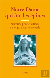 Notre Dame Qui Ôte Les Épines ; Neuvaine Pour Être Libéré De Ce Qui Blesse Et Mortifie