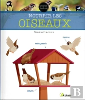 Nourrir Les Oiseaux