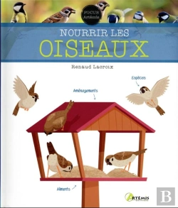 Bertrand.pt - Nourrir Les Oiseaux