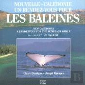 Nouvelle-Caledonie ; Un Rendez-Vous Pour Les Baleines