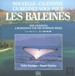 Bertrand.pt - Nouvelle-Caledonie ; Un Rendez-Vous Pour Les Baleines