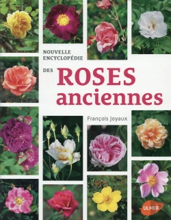 Bertrand.pt - Nouvelle Encyclopédie Des Roses Anciennes