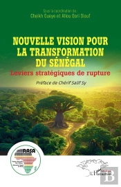 Nouvelle Vision Pour La Transformation Du Sénégal : Leviers Stratégiques De Rupture