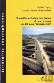 Nouvelles Échelles Des Firmes Et Des Réseaux ; Un Défi Pour L'Aménagement