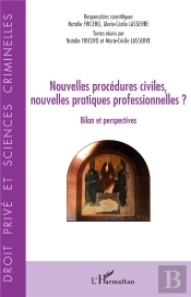 Nouvelles Procédures Civiles, Nouvelles Pratiques Professionnelles ?  Bilan Et Perspectives