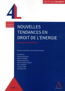 Bertrand.pt - Nouvelles Tendances En Droit De L'Énergie ; Sécurité Et Flexibilité
