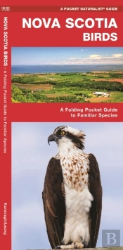 Nova Scotia Birds