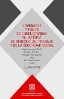 Novedades Y Focos De Conflictividad En Materia De Derecho D