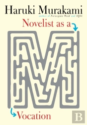 Novelist As A Vocation
