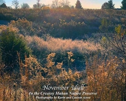 Bertrand.pt - November Idyll