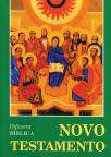 Novo Testamento cartolina
