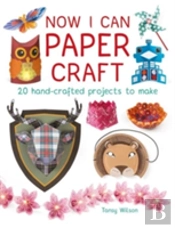 Now I Can Paper Craft: 20 Hand-Crafted Projects To Make