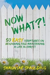 Now What !: 50 Easy Scriptures On Beginn