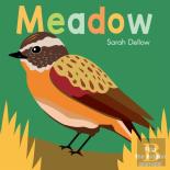 Now You See It! Meadow