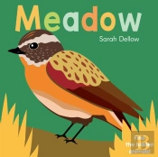 Now You See It! Meadow