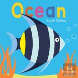 Now You See It! Ocean