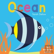 Now You See It! Ocean