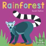 Now You See It! Rainforest