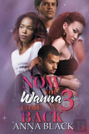 Now You Wanna Come Back 3