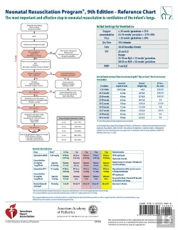 Bertrand.pt - Nrp Code Cart Card