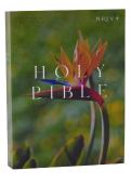 Nrsv Catholic Edition Bible, Bird Of Paradise Paperback (Global Cover Series)