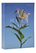 Nrsv Catholic Edition Bible, Easter Lily Paperback (Global Cover Series)