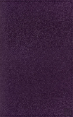 Bertrand.pt - Nrsv, Personal Size Large Print Bible With Apocrypha, Premium Goatskin Leather, Purple, Premier Collection, Printed Page Edges, Comfort Print
