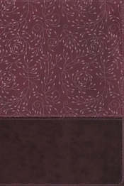 Nrsv, Thinline Reference Bible, Leathersoft, Burgundy, Indexed, Comfort Print