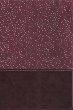 Bertrand.pt - Nrsv, Thinline Reference Bible, Leathersoft, Burgundy, Indexed, Comfort Print