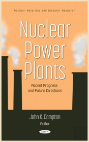 Nuclear Power Plants: Recent Progress And Future Directions