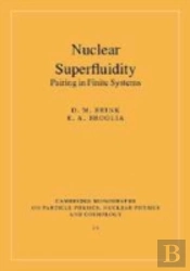 Nuclear Superfluidity