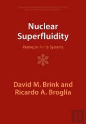 Nuclear Superfluidity