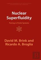 Nuclear Superfluidity