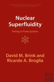 Nuclear Superfluidity
