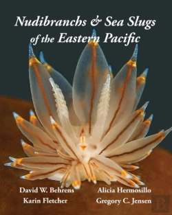 Bertrand.pt - Nudibranchs & Sea Slugs Of The Eastern Pacific