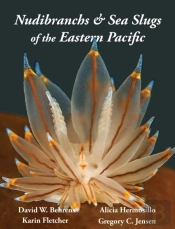 Nudibranchs & Sea Slugs Of The Eastern Pacific
