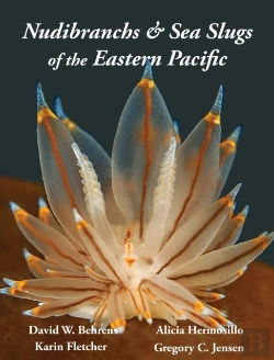 Bertrand.pt - Nudibranchs & Sea Slugs Of The Eastern Pacific