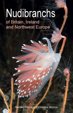 Bertrand.pt - Nudibranchs Of Britain, Ireland And Northwest Europe