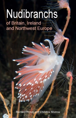 Bertrand.pt - Nudibranchs Of Britain, Ireland And Northwest Europe