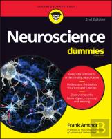 Nueroscience For Dummies