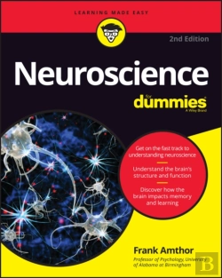 Bertrand.pt - Nueroscience For Dummies