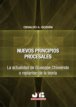 Bertrand.pt - Nuevos Principios Procesales