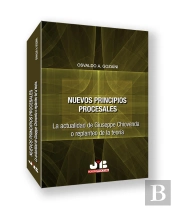 Nuevos Principios Procesales