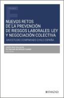 Nuevos Retos De La Prevencion De Riesgos Laborales Ley Y Ne