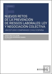 Nuevos Retos De La Prevencion De Riesgos Laborales Ley Y Ne